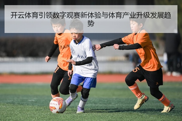 开云体育引领数字观赛新体验与体育产业升级发展趋势